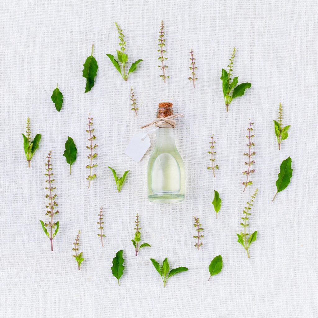Small glass bottle of plant extract surrounded by fresh green herb leaves, representing botanical bakuchiol skincare