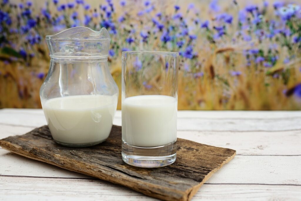 Glass jug and glass of fresh milk on a rustic wooden board, representing calcium-rich dairy