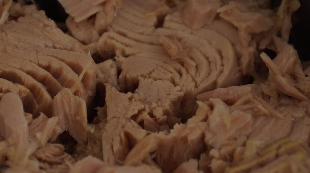 Close-up of flaked canned tuna meat, representing canned tuna during pregnancy