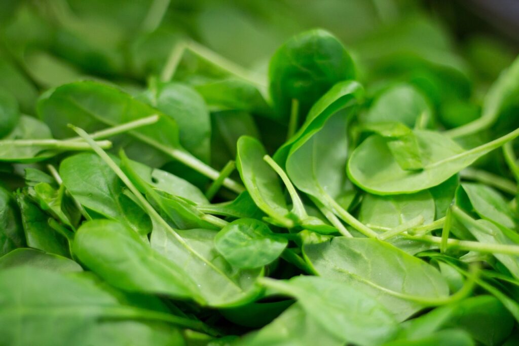 Close-up of fresh baby spinach leaves, an iron-rich leafy green for pregnancy