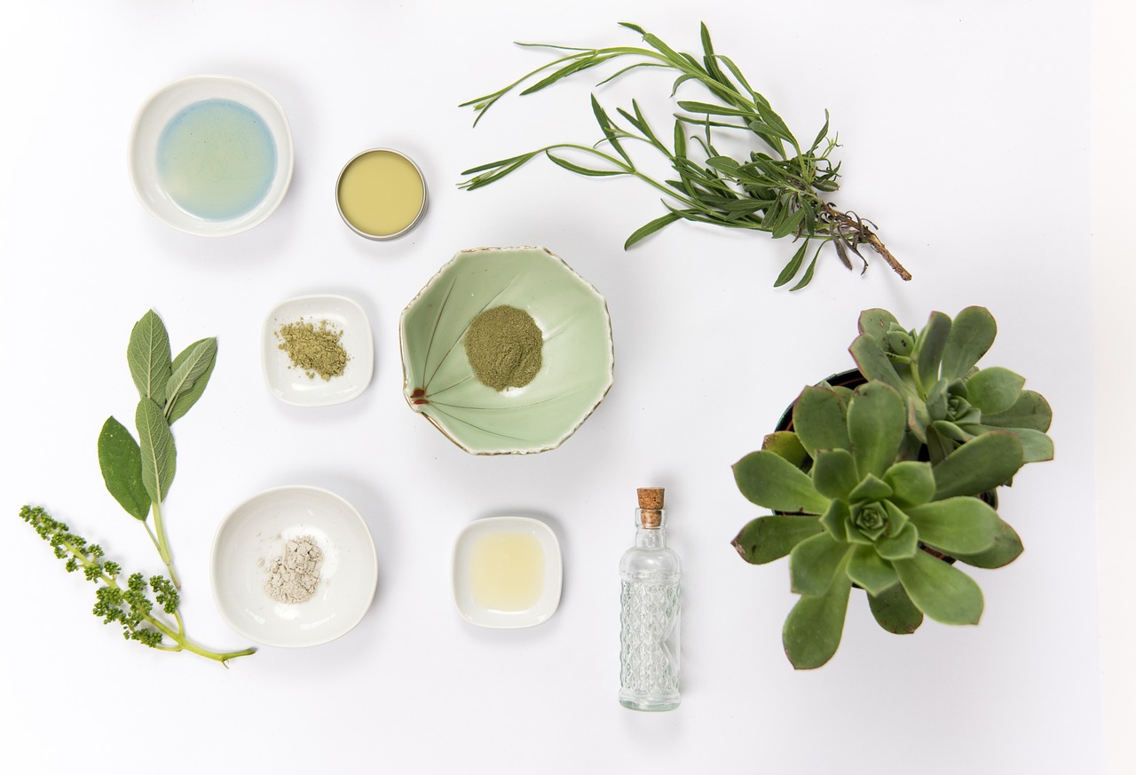 Small bowls of herbs, botanical ingredients and a succulent on white, representing skincare ingredient choices during pregnancy