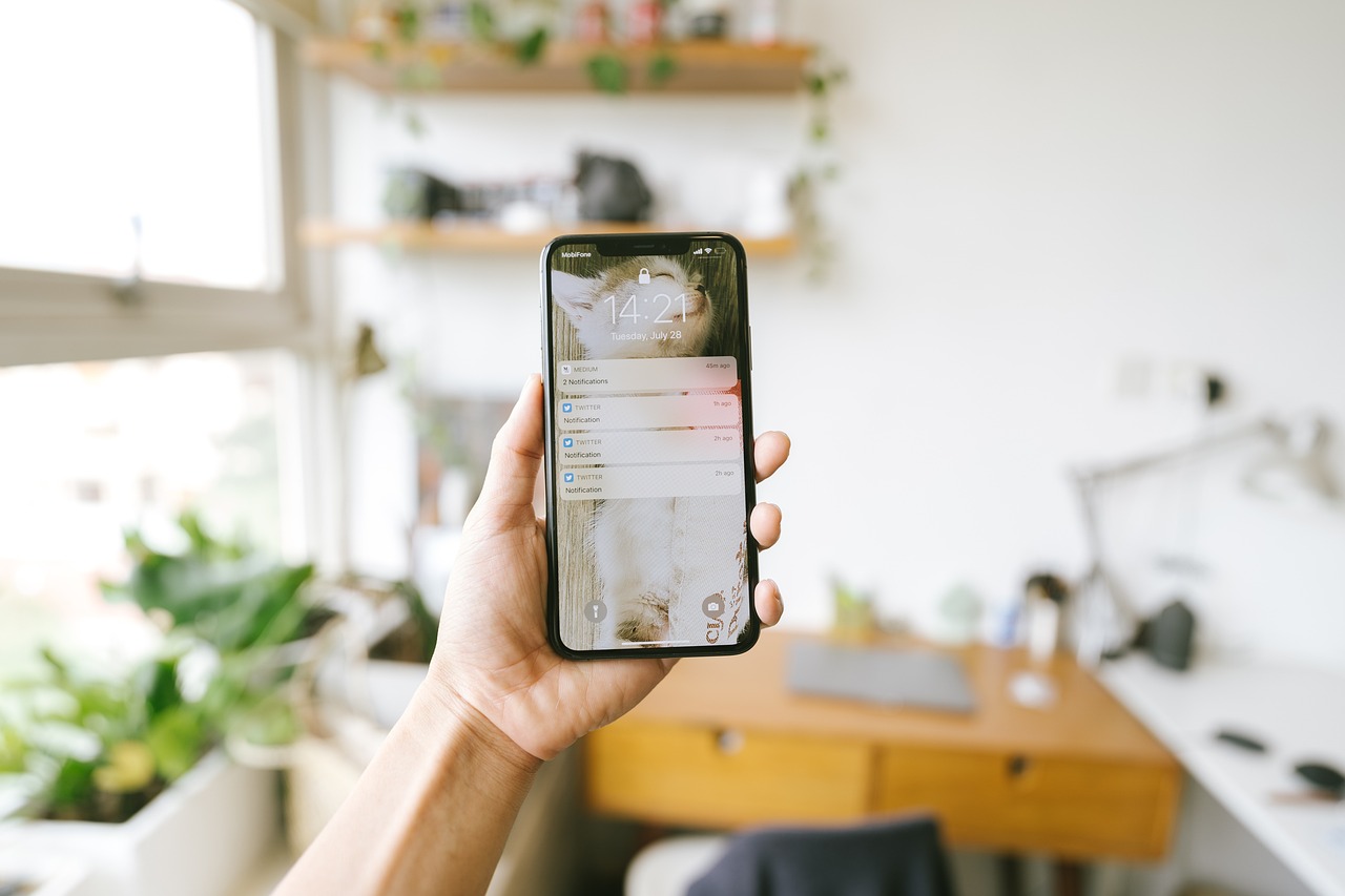 Hand holding a smartphone in a bright room with plants, representing an app not identifying scanned products