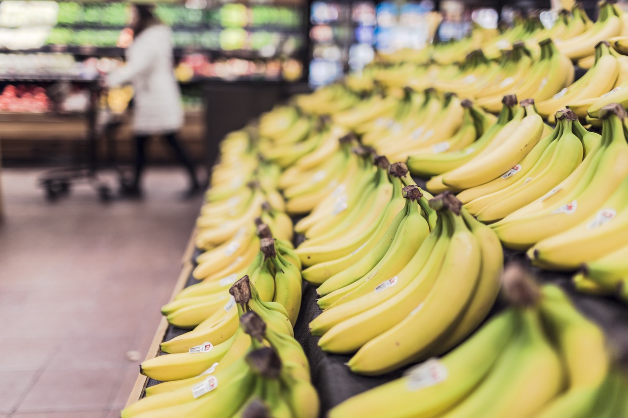 Rows of ripe yellow bananas on a grocery store display, representing checking food safety while shopping for pregnancy